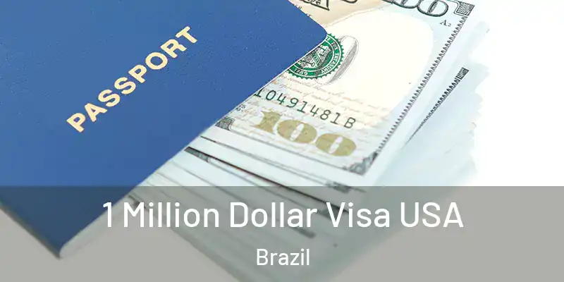  1 Million Dollar Visa USA Brazil